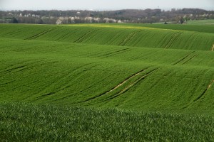 biodiversidade estudo climaticas alteracoes